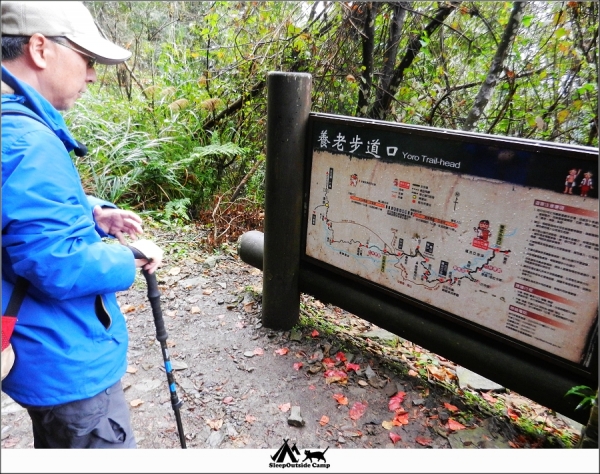 新竹尖石霞喀羅古道賞楓(養老-武神)259924