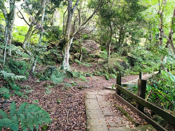 苗栗馬拉邦山2983725