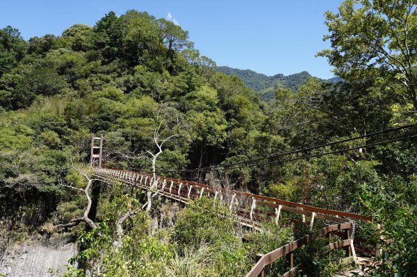 新竹 尖石 芝生毛臺山2608830