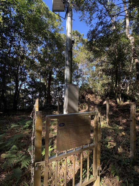 20251116鳴海山、網子山登山步道2938378