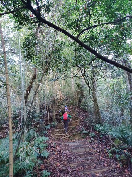 【雲林古坑】舒適宜人。 石壁山連走好望角嘉南雲峰2755255