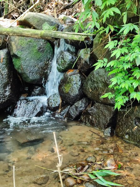 淡蘭北2+1逆走二刷2772763