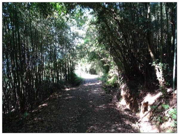 馬那邦山(小百岳)/上湖登山口2427083