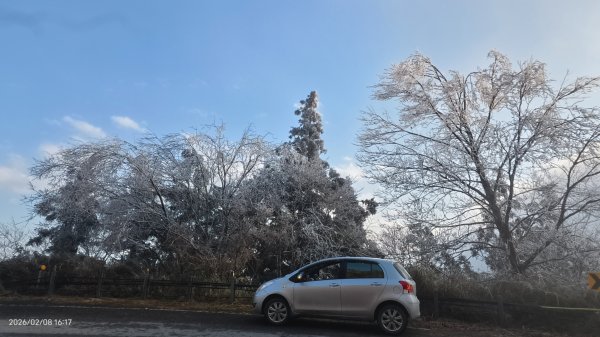 #霧淞 #雲海 #雲瀑 #霧虹 #太平山 #望洋山 #觀雲步道 #翠峰道路  2/82995277