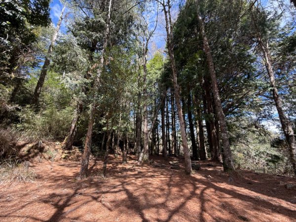 2025/03/02 白姑大山單攻2728508