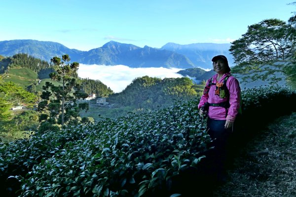 竹林饗宴--瑞太古道登雲戴山順走九芎坪山493551