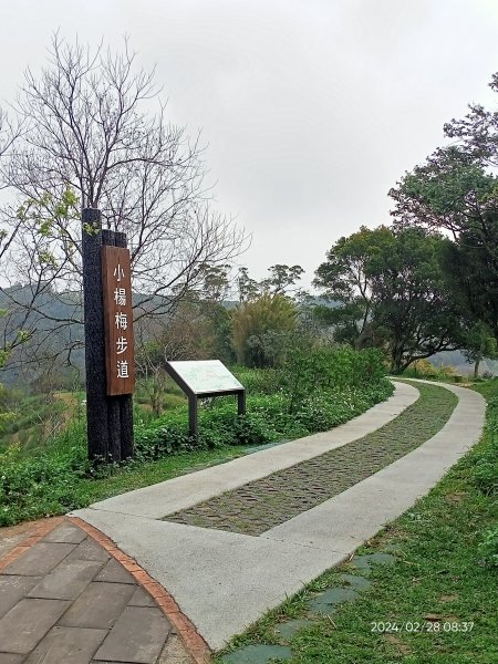 大安森林公園、桃園楊梅秀才登山步道走春趣2441999