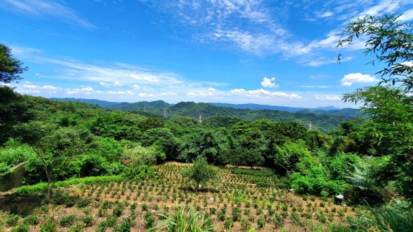 紫微聖母環山步道，土城桐花公園，五尖山，原住民族生態公園，大平紅橋，三坑自然生態公園1746439