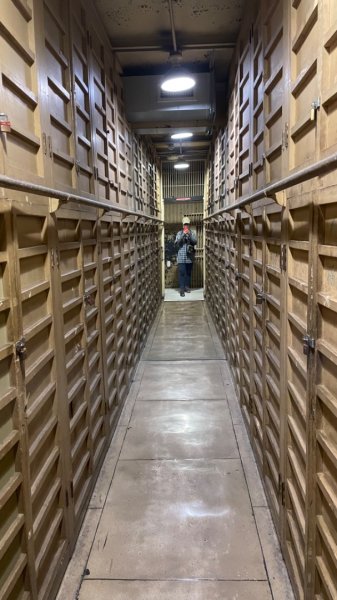 雨天備案💙 台灣博物館的古生代館-台大動植物館免費參觀-北投♨️季2799027