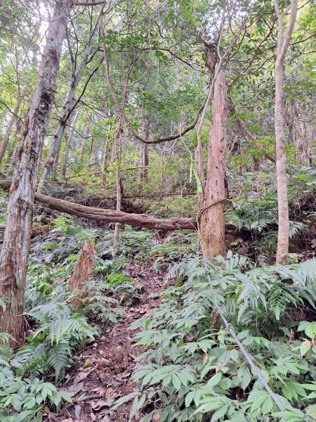 仙山古道群峰O型2693641