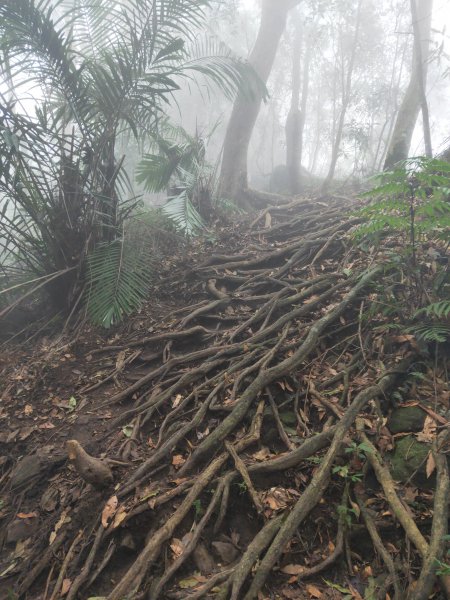 小百岳(32)-向天湖山-202110301674134