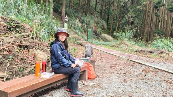 神阿縱走~台灣難抵極~大塔山2971524