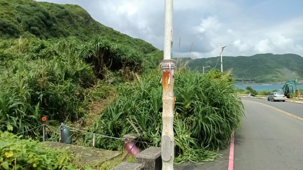基隆市中山峽谷森林古道-外木山國旗嶺-大武崙山稜O型3117315