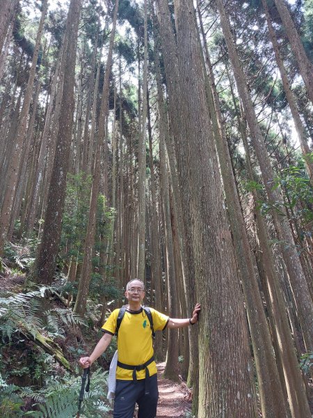 民都有山張學良故居202207091799088