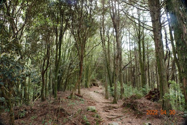 臺中 和平 鞍馬山1697261