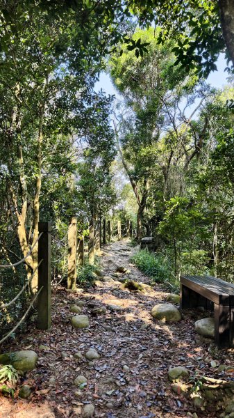 【台灣健行】台中大坑 5-1、5 頭嵙山2879641