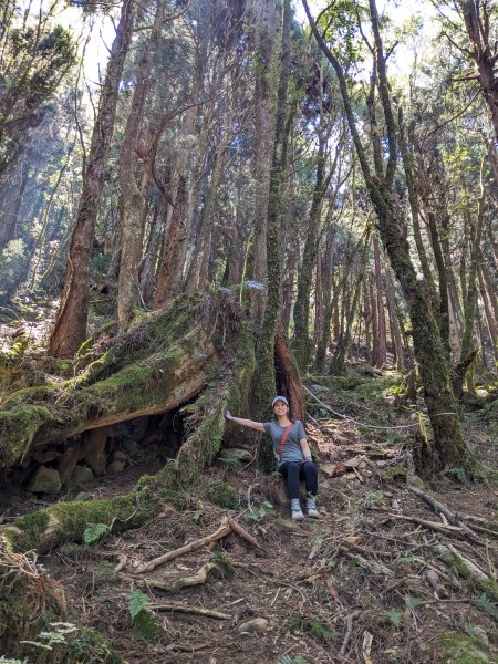 幾乎包場的兒玉山(自忠山)走東水山接特富野古道2548676