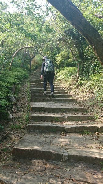 1070401高速攻頂（大崙頭山）303058