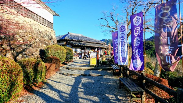 郡上八幡城的白帆2982604