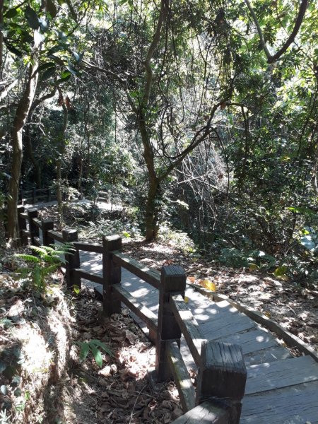 台中大坑步道7上6下20181027444594