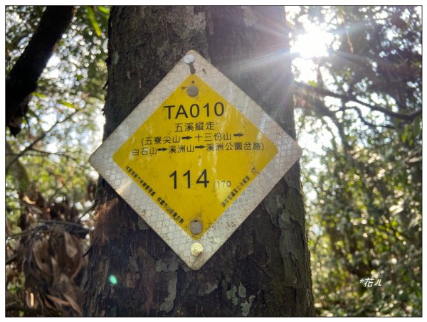 頭寮山、內湳溝山、牛角湳西南峰O型連走2738968