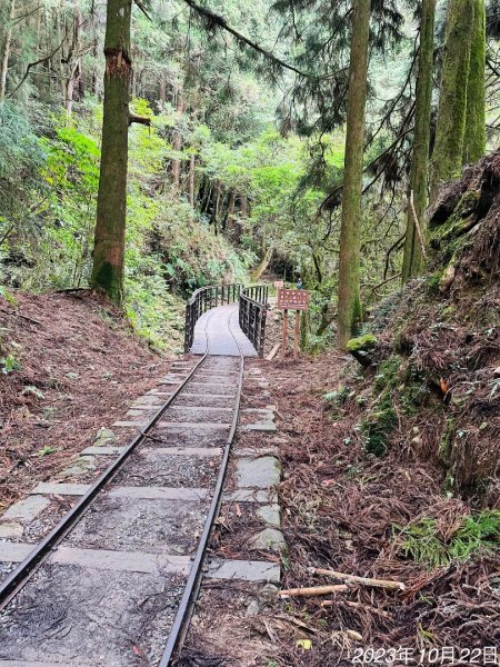 特富野古道2846012