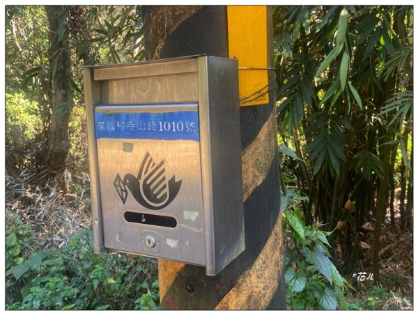 后里 七星山 新發現基石2990036