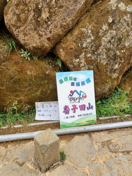 【雲林古坑】療育綠廊。 雲嶺之丘 x杉林步道x五元二角2760582