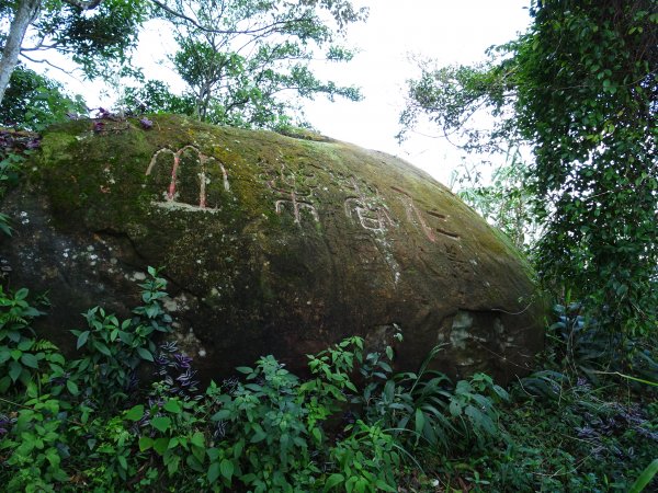台灣小百岳第13座台北南港-南港山767776