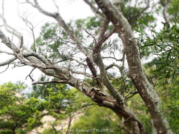 《苗栗》心靈之旅｜火炎山步道O繞南鞍古道201804212890664