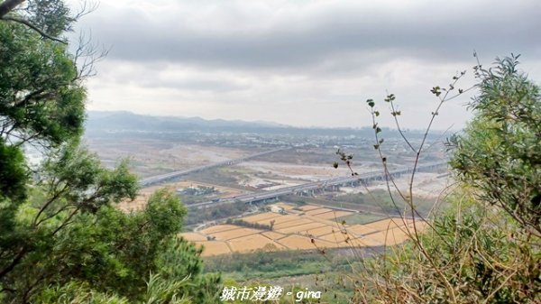 【苗栗三義】台灣百大必訪步道。 火炎山、南鞍古道O繞x火炎山下花海2954153