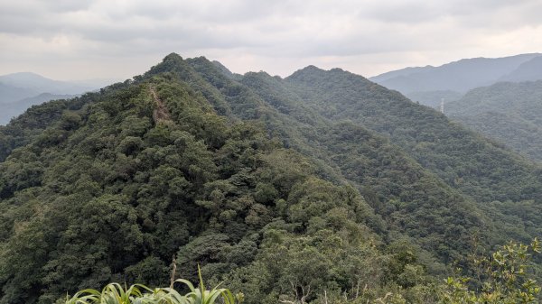 114.12.14黃帝殿西峰-天王峰-黃帝殿東峰之旅2962034