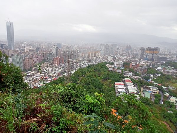 【臺北-臺灣百大必訪步道】暢遊四獸山、中華山岳南港山九五峰十路會師登山活動1541451