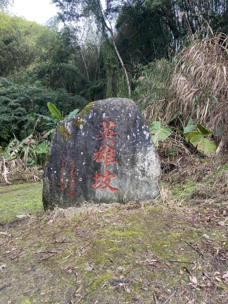 20250201瑞太古道2716334