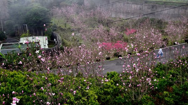 十八彎古道2026585