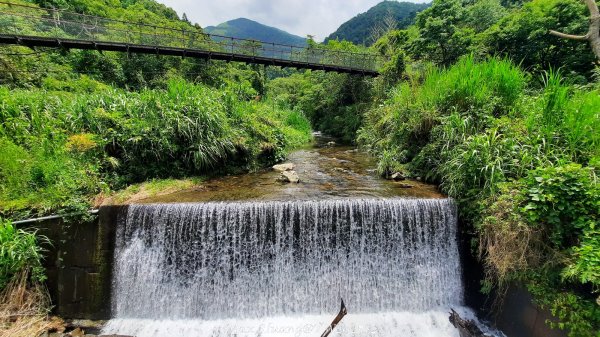 《台中》優美稜線｜橫嶺山自然步道（大雪山社區南登山口）202505312800134