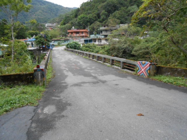 103.10.25 哈盆越嶺 豐富多樣的雨林風情