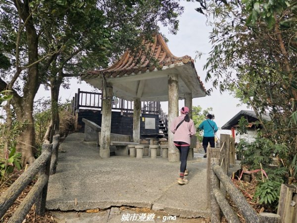 【高雄大社】小百岳大社觀音山步道3013128