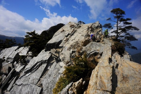 【台灣山岳小檔案】中央山脈 北二段