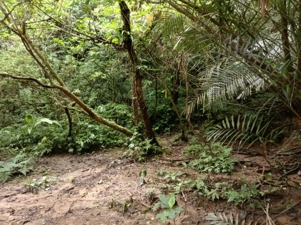 平溪區平溪子山遇雷雨O型2850093