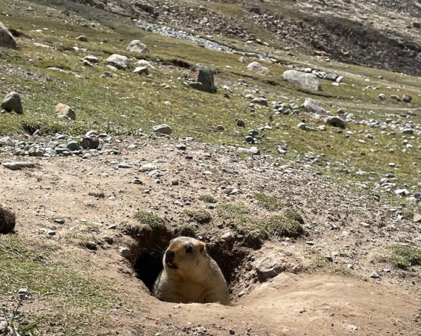 西藏-崗仁波齊轉山/珠峰大本營5200米2897549