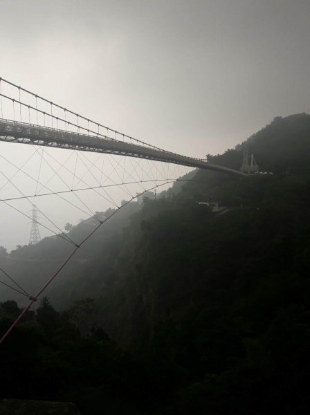 太平雲梯到橋步道787526