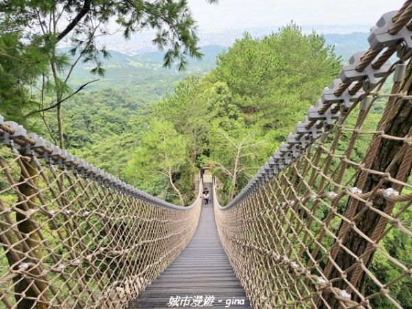 【台中北屯】大坑四號步道x頭嵙山3090937