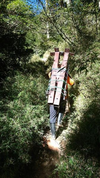 嘉明湖、向陽山、三叉山335915