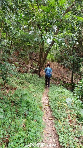 【南投草屯】蝴蝶紛飛可惜抵擋不了低海拔蚊子攻擊。 虎山步道x中興新村2856642