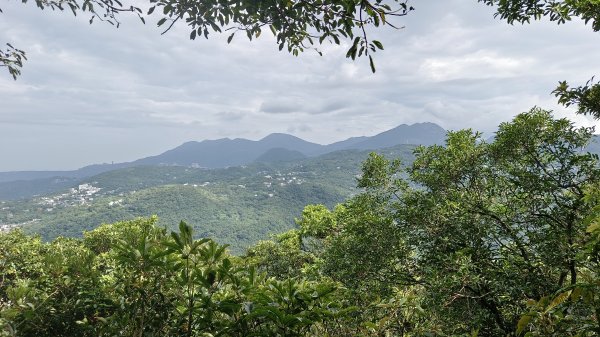 (姨婆趴趴走)第五十五集:攀登健走台北大崙頭尾山親山步道環狀一圈2853720