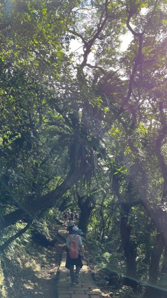 2025草嶺古道2970590