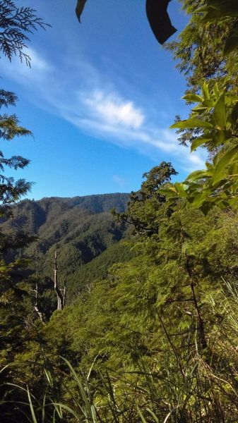 北橫第一高峰～巴博庫魯山O型走364057