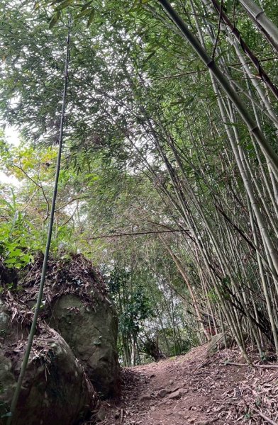 馬那邦山（珠湖登山口）2933991