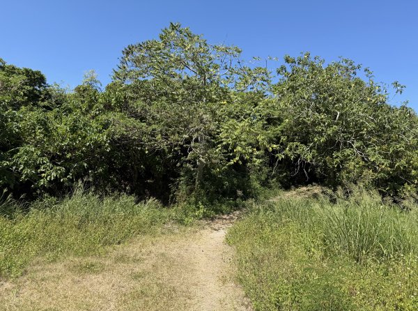 2025_1018 花蓮山步道2921270